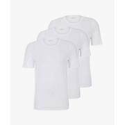 T-shirt rn 3p classic