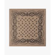 Adelina Paisley Knit Scarf
