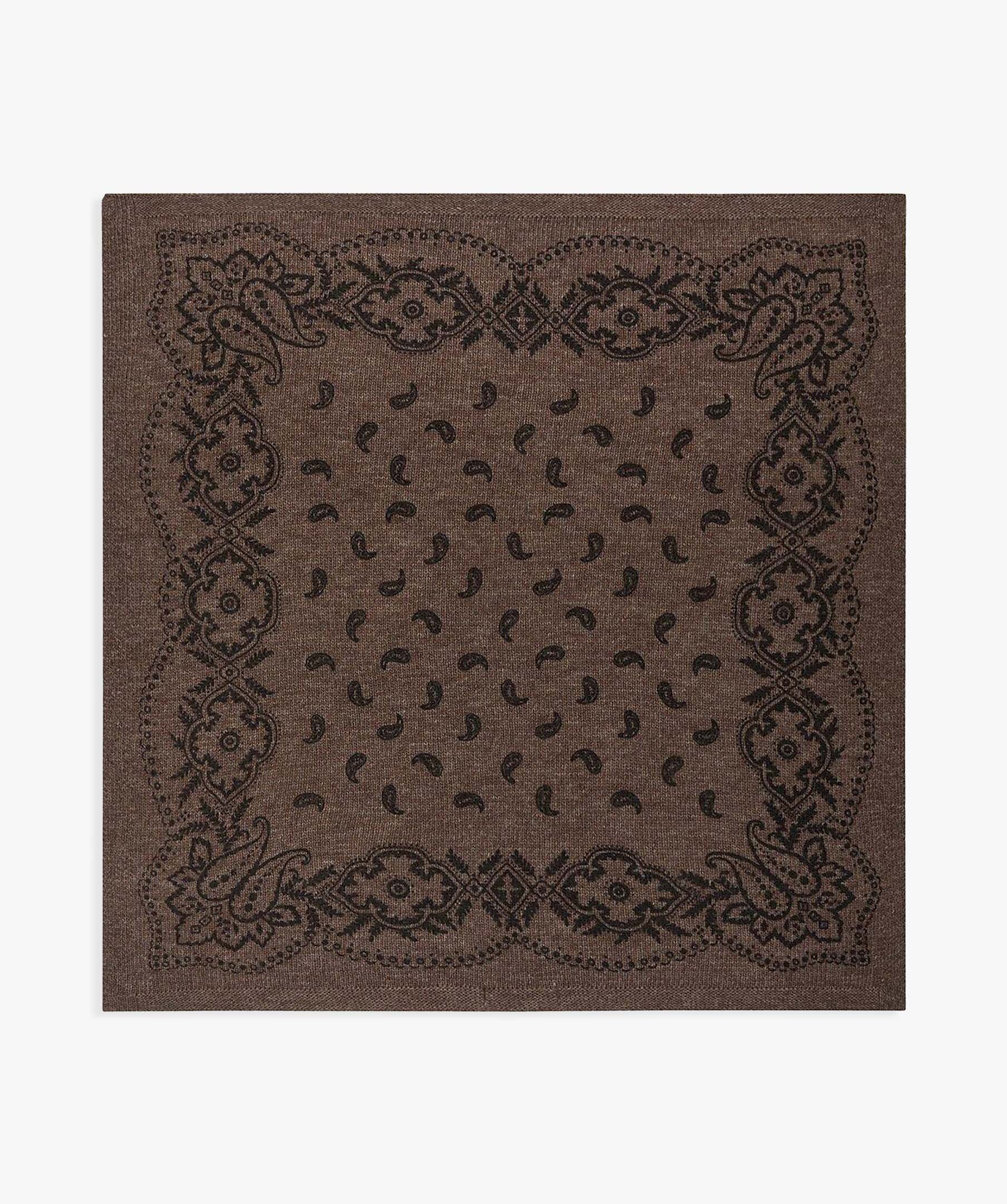 Adelina Paisley Knit Scarf