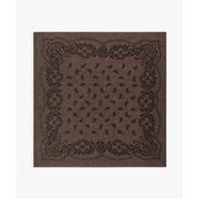 Adelina Paisley Knit Scarf