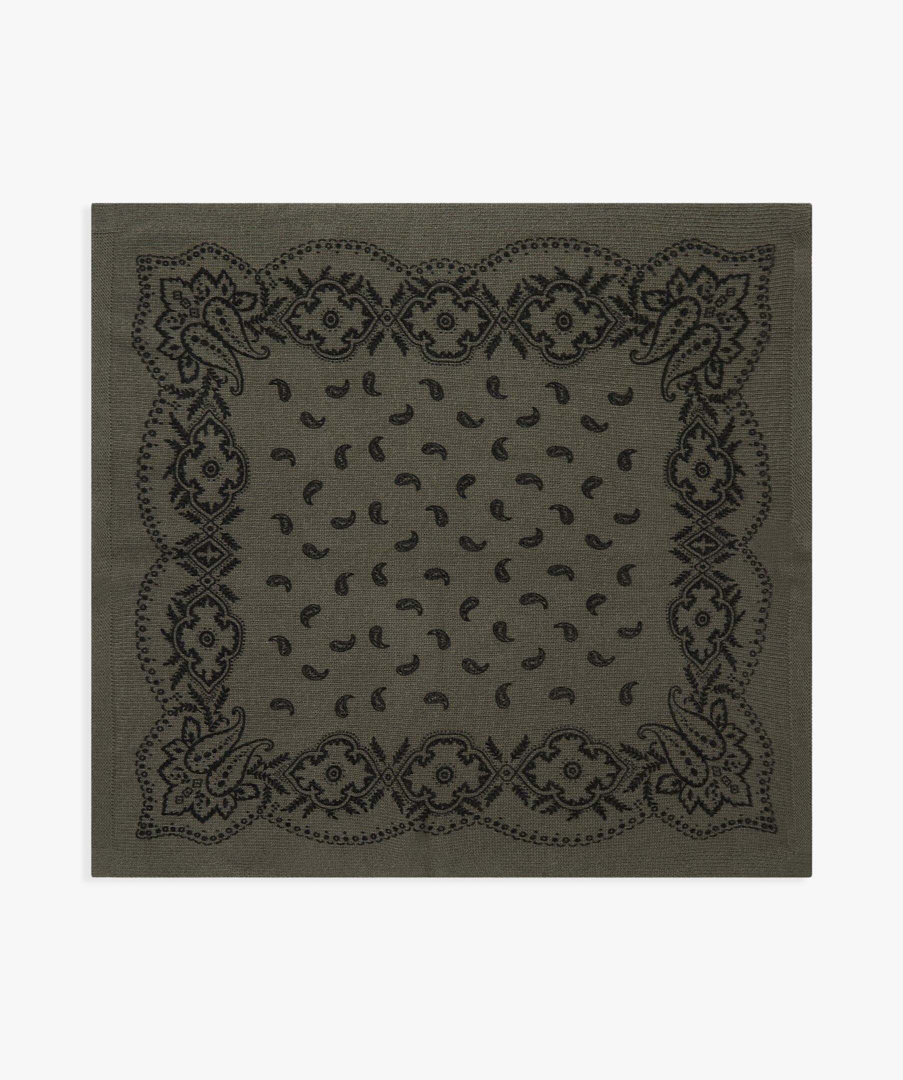 Adelina Paisley Knit Scarf