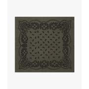 Adelina Paisley Knit Scarf