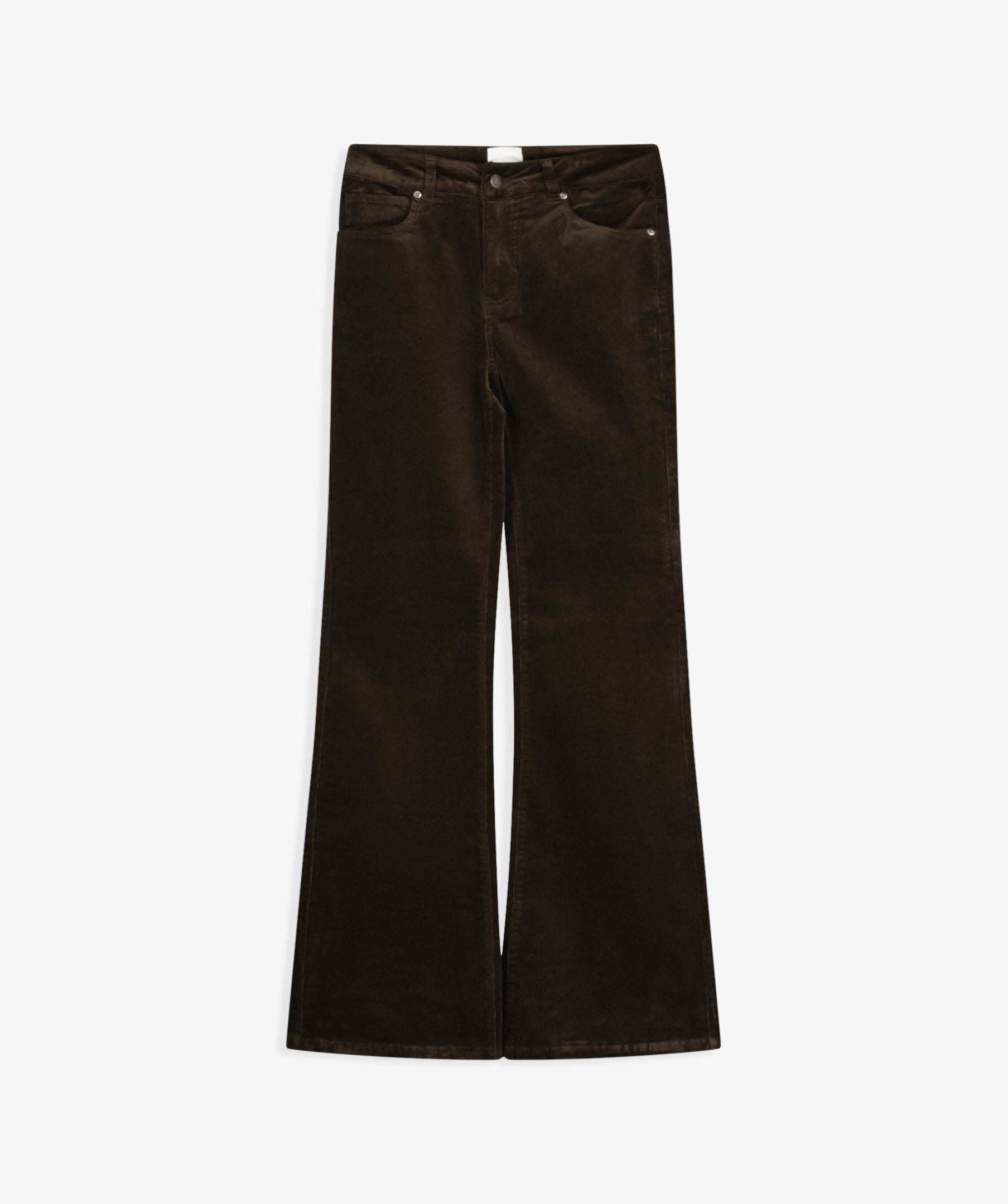 Celine Pant