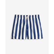 Block Striped Swim Shorts