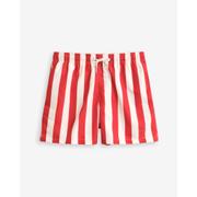 Block Striped Swim Shorts